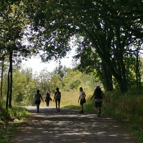 Actividades_El camino 2024_5