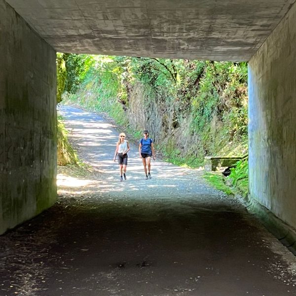 Actividades_El camino 2024_6